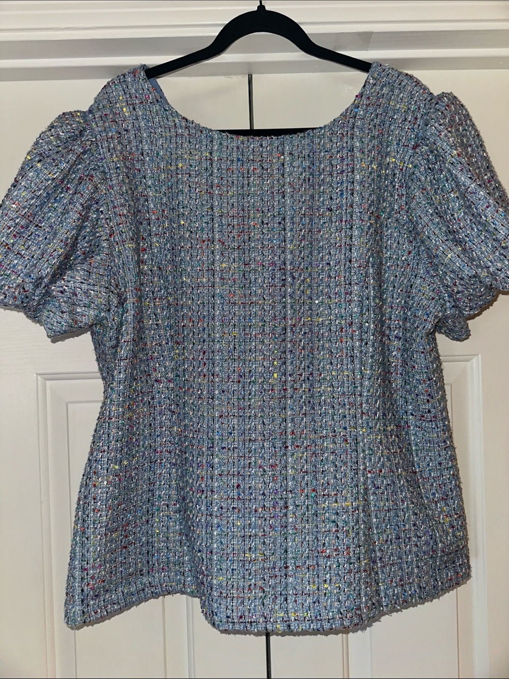 Ivy City Co Light Blue Tweed Puff-Sleeve Top with Multicolor Flecks